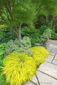 Japanese Gardening Shade Garden Design Plants Japanese Garden Design