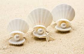 February 17, 2021 by admin. Wallpaper Shell Pearl Starfish Sunshine Beach Sea Sand Seashell Images For Desktop Section Priroda Download