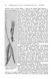 Image result for Urochloa marlothii