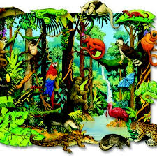 A tropical rain forest is a warm, rainy place. Tropical Rainforest Animals By Alice Li