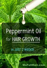 How To Use Peppermint Oil For Hair Growth Visible Results In Just 2 Weeks Peppermint Oil Hair Growth Hair Growth Oil Peppermint Oil Hair