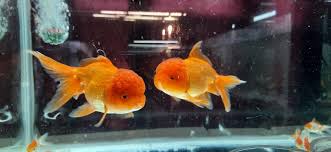 We did not find results for: Marine Museum Dear Sir Madam We Are Available For Your Facebook