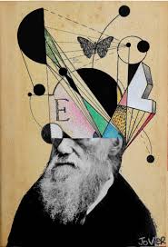 Darwin For Beginners Sold Collage Artist Art Surreal Art