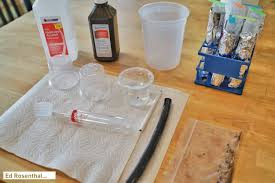 Compare prices & read reviews. How To Professionally Germinate Cannabis Seeds Award Winning Seed Breeder S Step By Step Instructions Ed Rosenthal