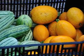 When it comes to growing spaghetti squash, there are a few different techniques you can use. Growing And Harvesting Spaghetti Squash P Allen Smith