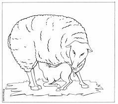 Check out our collection of free animal coloring pages. Domestic Animals Coloring Pages Pitara Kids Network