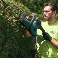 Die hausordnung schreibt vor, die forsythienhecke im vorgarten nach der blüte im mai zu schneiden. Hecke Schneiden Sacher Immobilien Management Gmbh