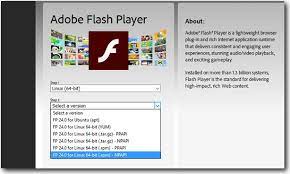 Adobe flash player npapi is flash player for firefox. Which Adobe Flash Player Version To Install Npapi Or Ppapi Or Activex
