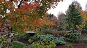 Gresham Japanese Garden Japanese Garden Garden Stuff To Do
