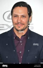 The wechsler hi-res stock photography and images