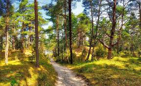 Select from premium latvia nature of the highest quality. Best Tips For Your Day Trips From Riga Latvia