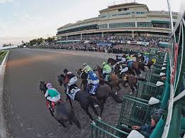 5 treasured nikky race 2: Race Sports Free Picks Barish S Picks Gulfstream 010320 Gaming Today