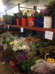 1632 belle view boulevard, alexandria, va, 22307. Middle Atlantic Wholesale Florist 23 Reviews Florists 4406 Wheeler Ave Alexandria Va Phone Number Yelp