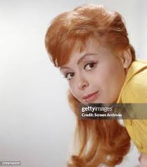 728 Gidget; Stock Photos, High-Res Pictures, and Images