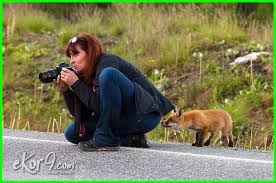 10 Foto Lucu Sekaligus Menegangkan Ini Jadi Bukti Perjuangan Fotografer Hewan Liar Dunia Fauna Hewan Binatang Tumbuhan Dunia Fauna Hewan Binatang Tumbuhan