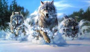 Buy Wolves Attack Diamond Painting Kit At 30 Off Pretty Neat Creative Diamond Painting Painting Kits Square Diamond