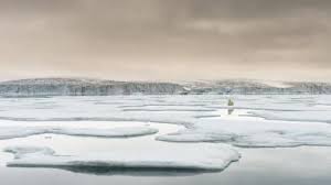 23 jun 2021 a leaked draft report from the united nations has painted a distressing picture of how climate change will fundamentally reshape life on earth in the coming decades, even if humans can. Kxe Su6koel5bm