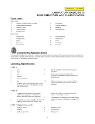 0 ratings0% found this document useful (0 votes). Bones Lawrencegaltman Com