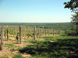 Discover more posts about vojvodina. Fruska Gora Vojvodina Srbija Serbia Pogled Na Backu 1 Mapio Net