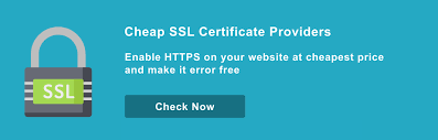 Running an angular application over a secure connection is pretty straight forward. Net Err Ssl Protocol Error Chrome How To Fix It