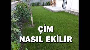 Ertesi gün teslimat ve uygulama. En Kolay Cim Ekimi Nasil Yapilir Cim Nasil Ekilir Youtube