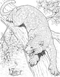 Realistic Big Cat Coloring Pages Cat Coloring Page Animal Coloring Pages Animal Coloring Books