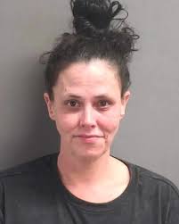 32-year-old AARON ARTERS from PONCE INLET was booked