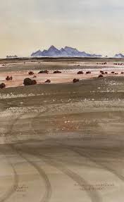 Image result for Arthraerua leubnitziae