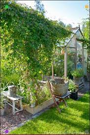 a guide to a greenhouse room in your house garten gartengestaltung ideen garten pflanzen