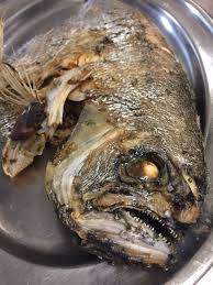 Il pesce castagna è una sorta di grossa orata, presente nei nostri mari e che si può cucinare in mille maniere. Pesce Castagna Foto Di Hotel Casa Yvorio Terracina Tripadvisor