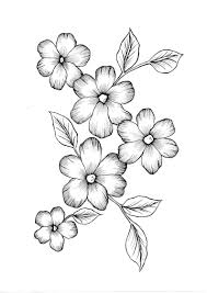 Tulips, roses, daffodils, hydrangea, snowdrops, apple blossoms! Wild Flowers Pdf Coloring Page Flower Art Drawing Flower Pattern Drawing Pencil Drawings Of Flowers