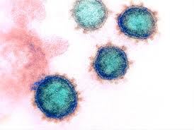 It can also take longer before people show symptoms and people can be contagious for longer. Pfizer Biontech And Moderna Covid 19 Vaccines Establish Recall Responses To Reinfection