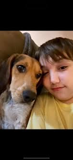 Sighting not contained