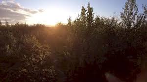 Pedal to the top, then ride it fast. Ride Toway Video Pinkbike