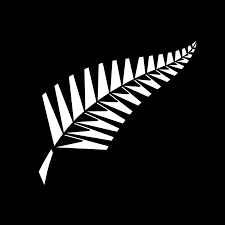 Check spelling or type a new query. New Zealand National Cricket Team Wikipedia