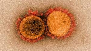 20 surprising things that cause covid if your fairy godmother could grant you one wish right now, i know what it would be. New Covid 19 Strain 20 Uk Returnees To India Test Positive For The New Variant