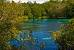 Silver Springs Swimming