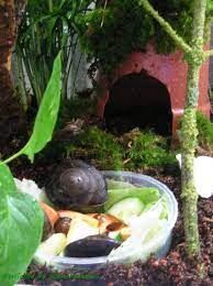 Award for academic excellence, bridgewater state university. Caracolus Excellence Wildlife Photo Gallery Tieres Webseite