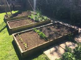 So, planting fruit trees provides tons of food (literally). How To Grow Backyard Fruit Trees