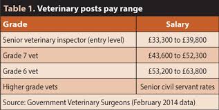 Work As A Government Vet Vet Times
