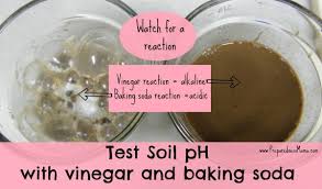 I'm too lazy to test the specific ph of the stuff i've got, but i recall wayyyy back doing a bit of studying and discovering ph balance. Testing Your Soil Ph Without A Kit Preparednessmama