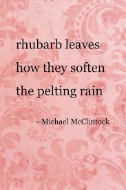 Haiku Poem Rhubarb Leaves By Michael Mcclintock Haiku Poems Writing Poems Haiku