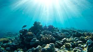 An eco-education and a true escape