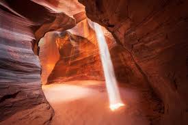 Image result for Light Canyon Red 1990 Tracer