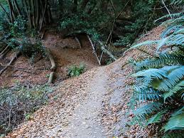 Mazzariello labyrinth loop via huckleberry path and bay area ridge trail. Slower Pace In Huckleberry Botanic Regional Preserve Oakland Momma