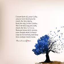 It carries the same idea but i think it conveys that meaning more. Reach For The Trees Everyday Quotes Sky Quotes Words Quotes
