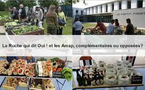 Ouvrir une ruche qui dit oui. La Ruche Qui Dit Oui Et Les Amap Quelles Differences