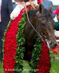 Failure to comply with the rules and medication protocols jeopardizes. Pin By R B On Flowers Derby Horse Derby Horse Race Derby Winners