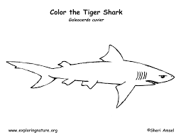 Discover our coloring pages of fishes to print and color for free ! Shark Tiger Coloring Page