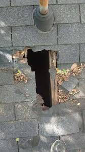 Pest exclusion that prevents vermin from entering the indoor environment is an ancient concept. Wildlife Exclusion Wexford Pa Animal Services Wildlife Pest Control
